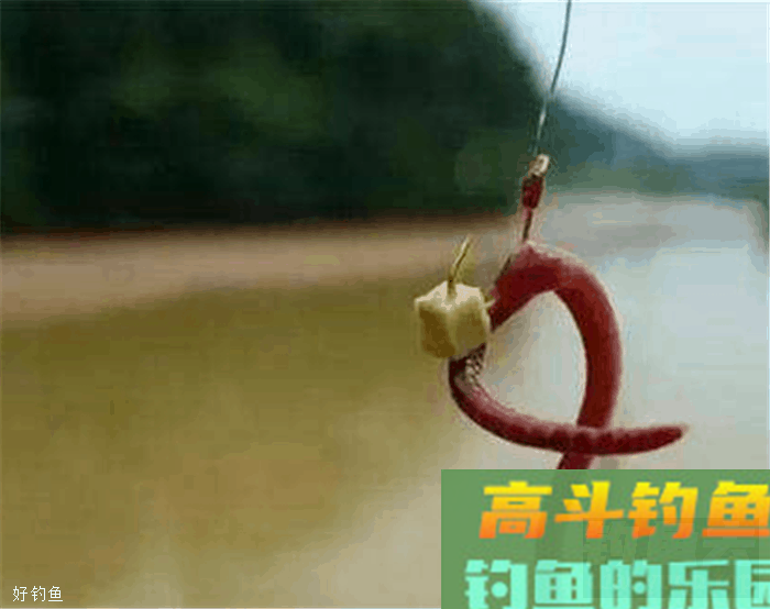 蚯蚓饵这么使用才能钓大鱼