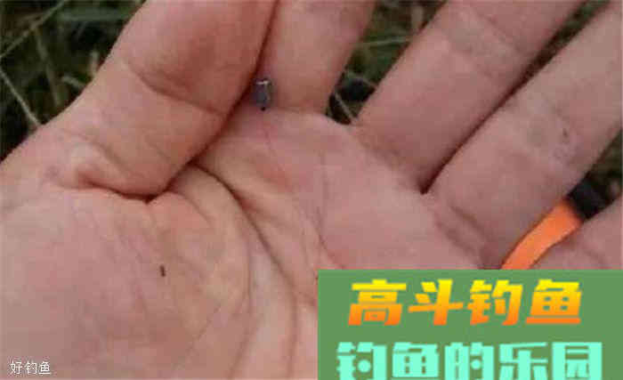 酒米的使用方法