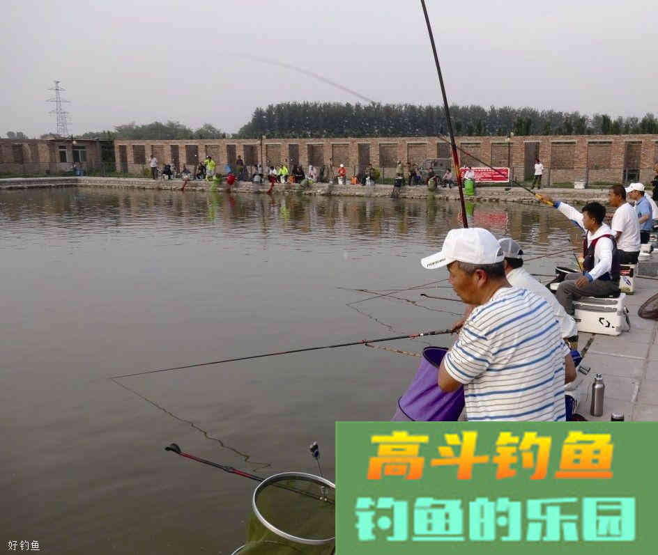 什么情况下钓鱼要打窝？分享黑坑和野钓钓鱼的打窝技巧