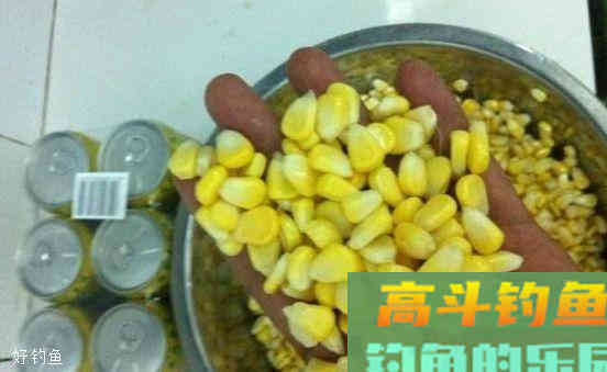 啤酒开饵料钓鱼效果确实牛，但是什么鱼用什么啤酒你知道吗？