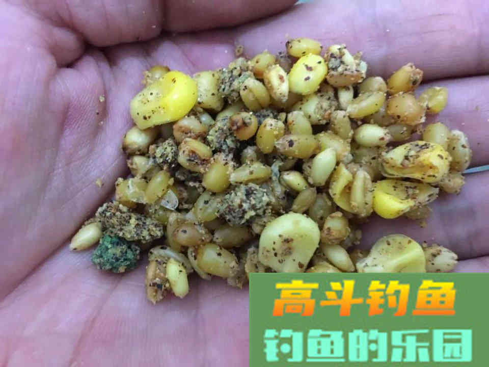 商品鱼饵的搭配以及相互替代，野钓不再拘泥于配方