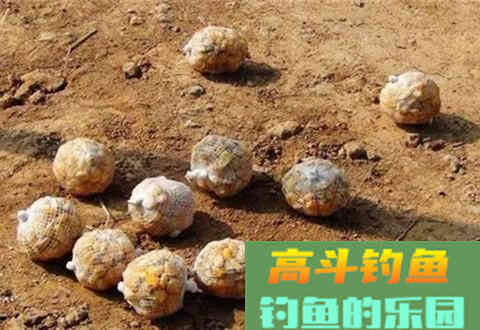 野钓长效打窝绝招，大鱼连竿很轻松