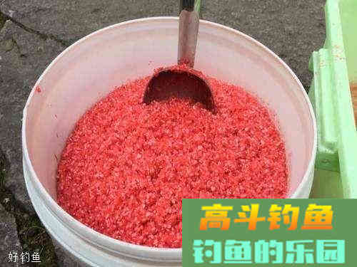 野钓饵料不足，可以尝试这样做