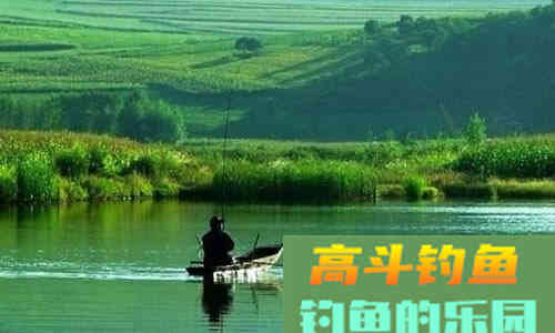 夏季钓鱼用饵需要注意的三个事项