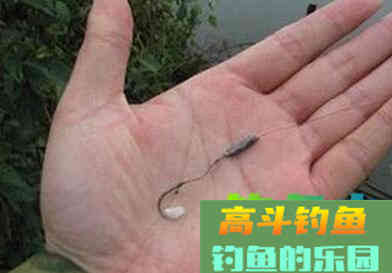 用米饭钓鲫鱼应该注意这些方面技巧