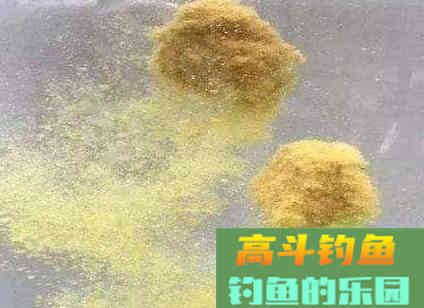 冬季钓鱼饵料状态都会关乎你的鱼获，这些知识你都知道吗？