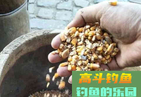 钓大鲤鱼如何打窝的3个经验方法