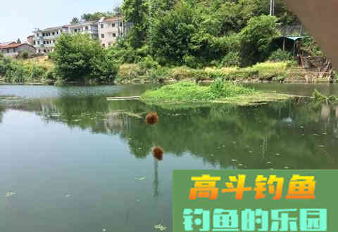 野钓用饵：蚯蚓和商品饵哪个效果更好？其实各有千秋