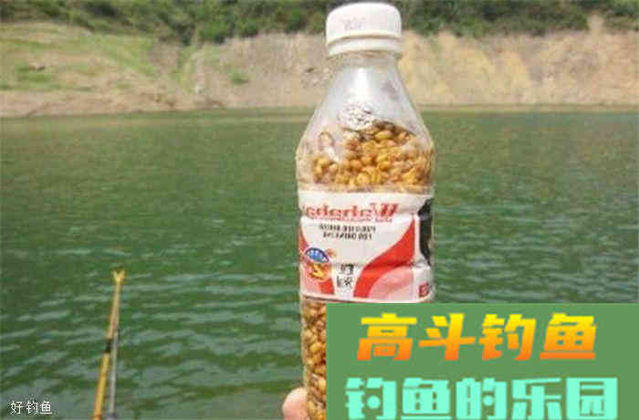 秋季钓鱼打窝技巧分解，易学好用