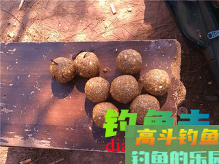 钓鱼用饵要注意的6大禁忌 