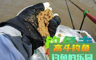 打完窝却没鱼口？原因分析