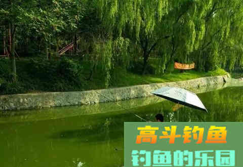 钓鱼小药不能乱用，可这几种情况不用又不行