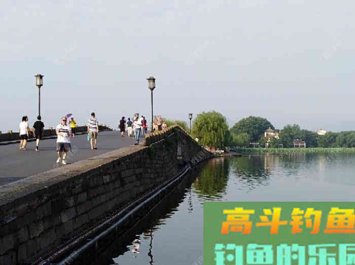 打窝的意义目的，季节气温不同该怎么打窝