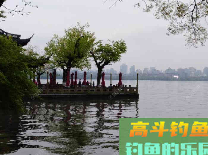 关于散炮的性能和作用