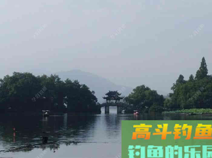 打窝的意义目的，季节气温不同该怎么打窝