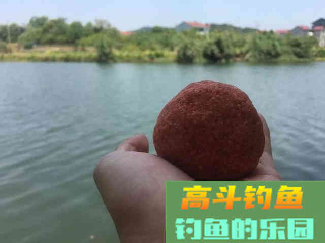 野钓用饵：蚯蚓和商品饵哪个效果更好？其实各有千秋