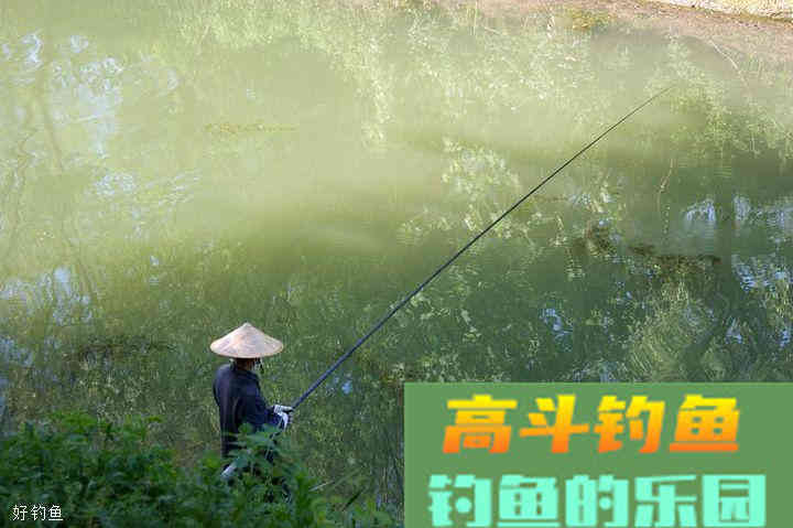 钓鱼用饵技巧有哪些？肥水塘VS瘦水塘