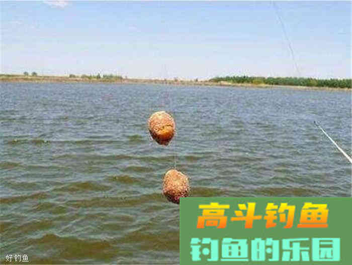 秋季垂钓，打窝分轻窝和重窝，你有了解过吗？