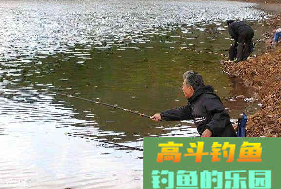 钓鱼多久换饵才好？
