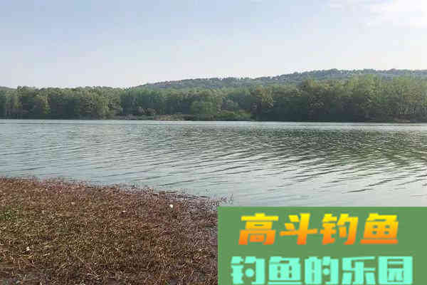 夏季野钓小鱼闹，2个用饵绝招