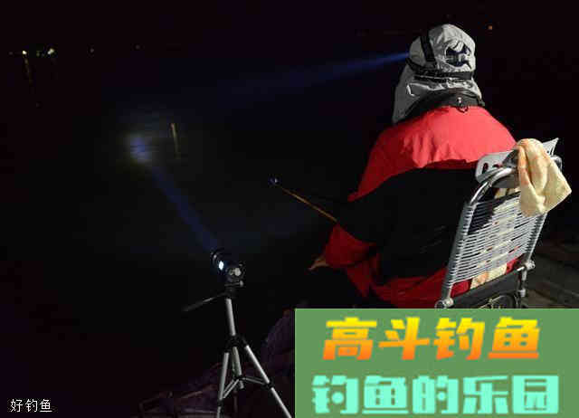 初冬夜钓用什么饵料？商品饵结合虫饵实战分析