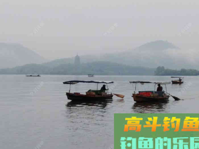 关于散炮的性能和作用