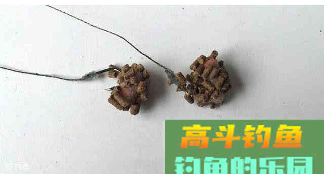 蘸饵钓法详解，钓鱼意外地好用