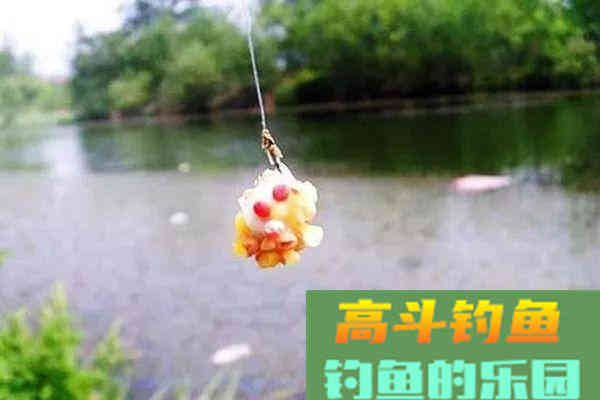 夏季野钓小鱼闹，2个用饵绝招