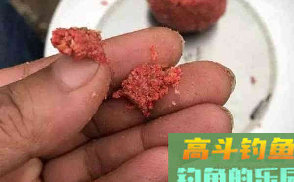 开饵和上饵的注意事项