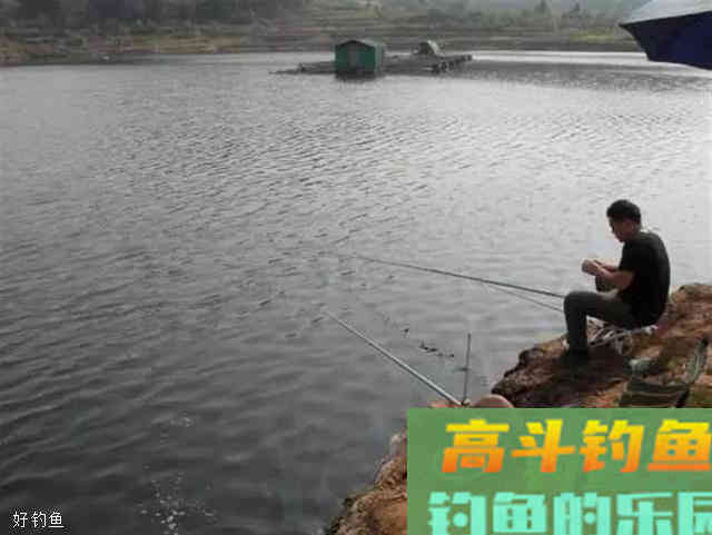 三伏天用饵技巧，水热鱼仍大开口