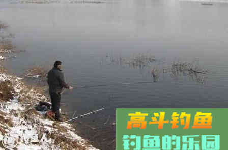 冬季钓鲫鱼怎么打窝？