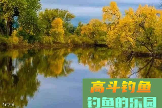 秋钓鲫鱼鲤鱼草鱼，三大家鱼的用饵技巧