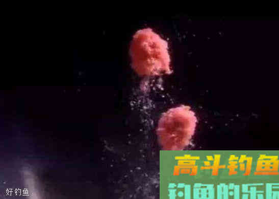 黑坑钓鲤鱼，如何根据它的饵料味型调配饵料