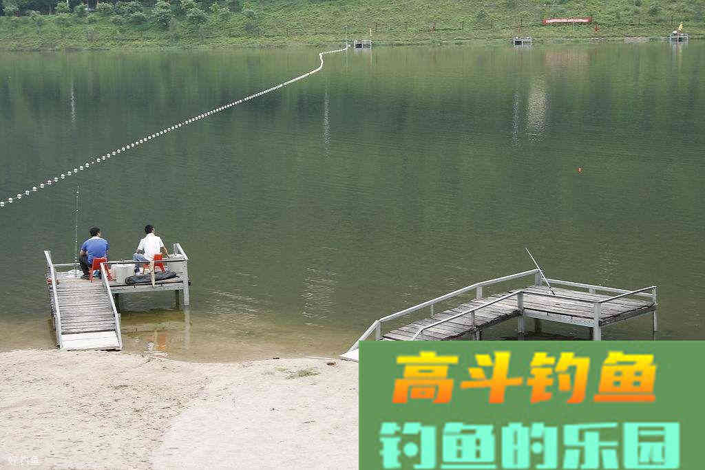 知道这些打窝用饵技巧，水库天天爆护