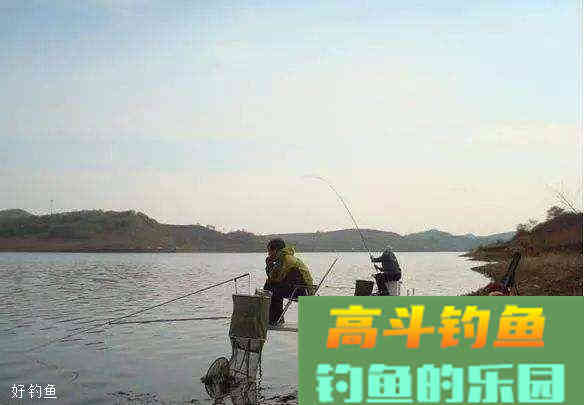秋季天冷钓鲫鱼怎样用饵，用什么饵料配方