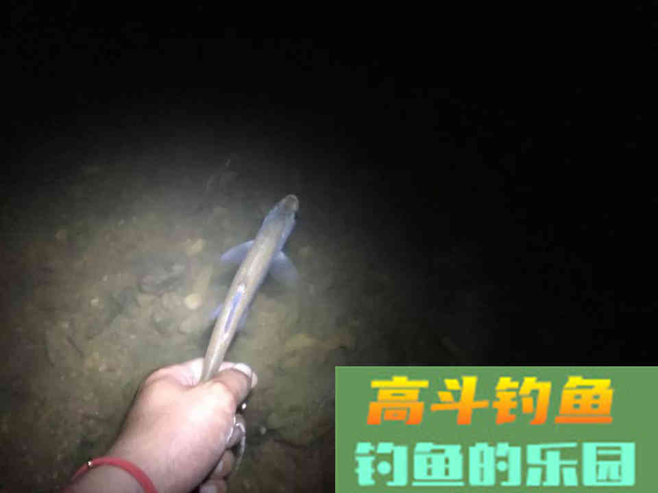 商品鱼饵的搭配以及相互替代，野钓不再拘泥于配方