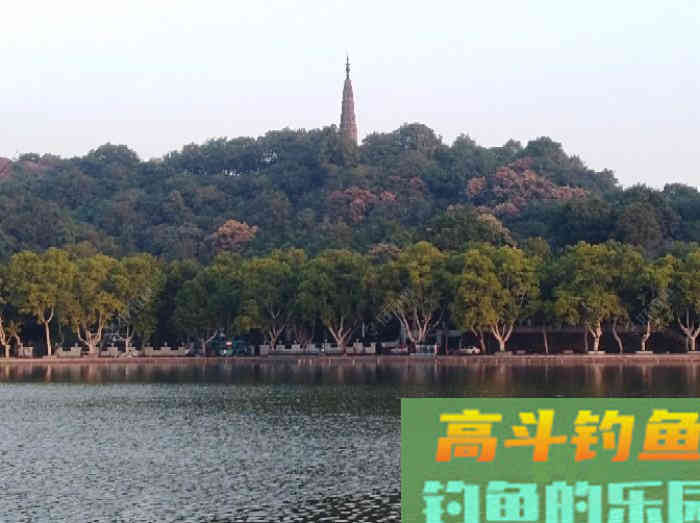 秋季野钓与坑钓的饵味型分折与总结