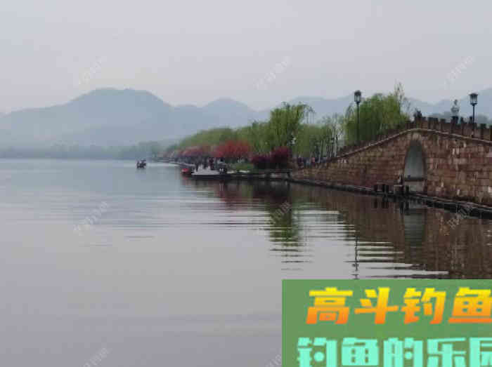 关于散炮的性能和作用