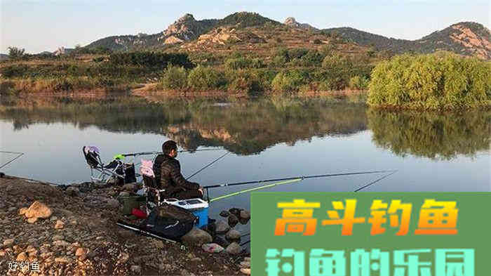 为什么不要以饵料的香型来判断适合什么鱼？这里有答案