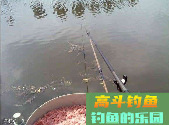 冬季怎么钓鱼？关键得看饵料