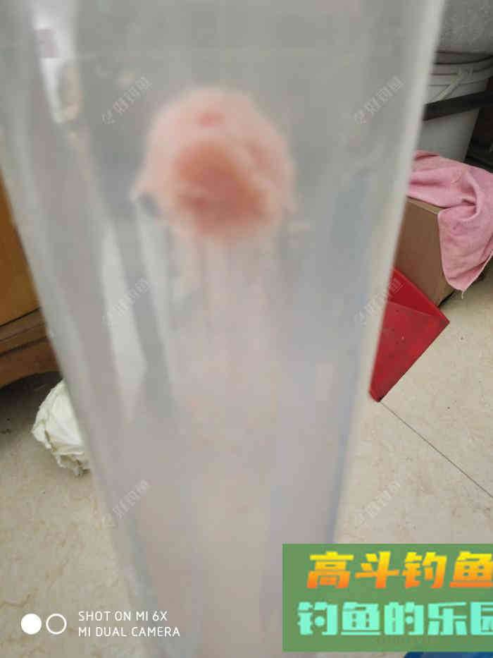 自行研究鲢鳙饵料，解决雾化太快的问题