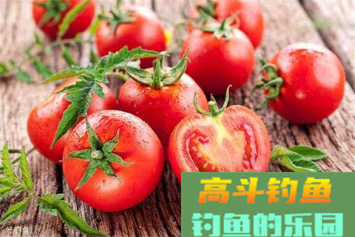 蔬菜，瓜果都可以用来做鱼饵，你造吗？