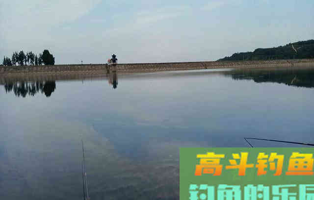 分享打窝心得，想学的老铁看过来吧