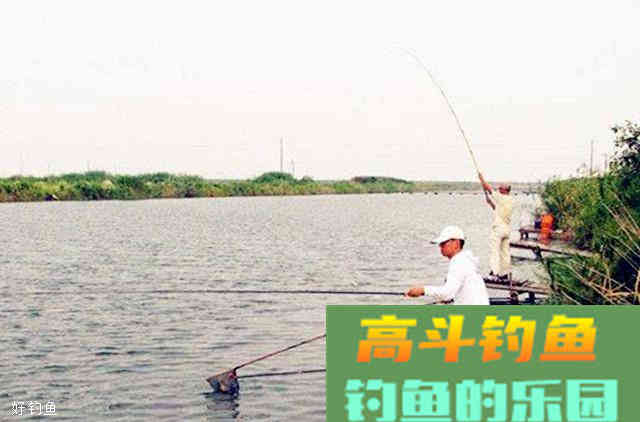 分享一款窝料配方和打窝技巧