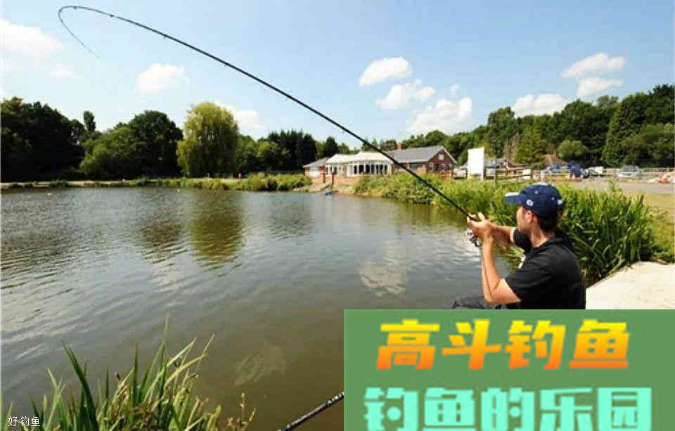 春天钓鱼用腥饵，可以用它来代替蚯蚓，用法多样