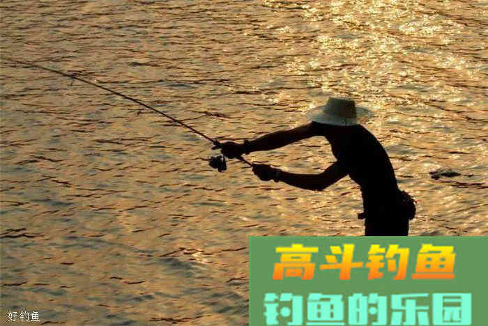 秋季这样打窝，很少空军哦
