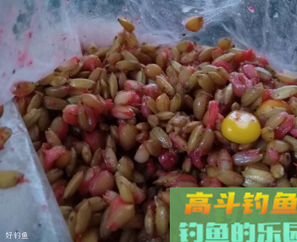 酒米窝料制作中应如何选择米和酒？
