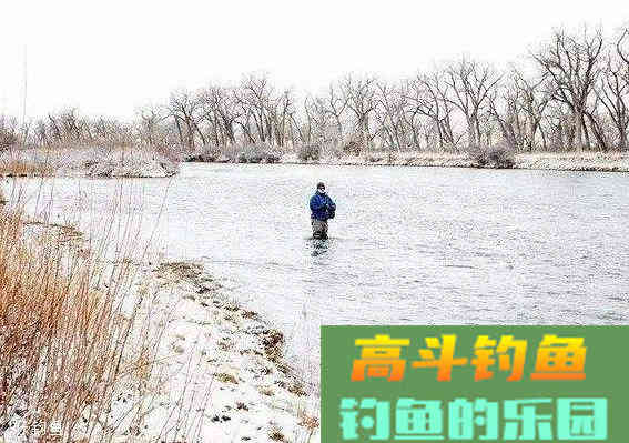 冬季钓鲫鱼怎么打窝？