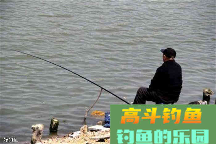 谷物饵料技巧，麦子粒也能上大鱼