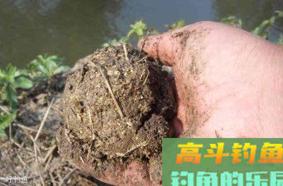 去水库野钓大物，学会正确打窝才能诱到大鱼